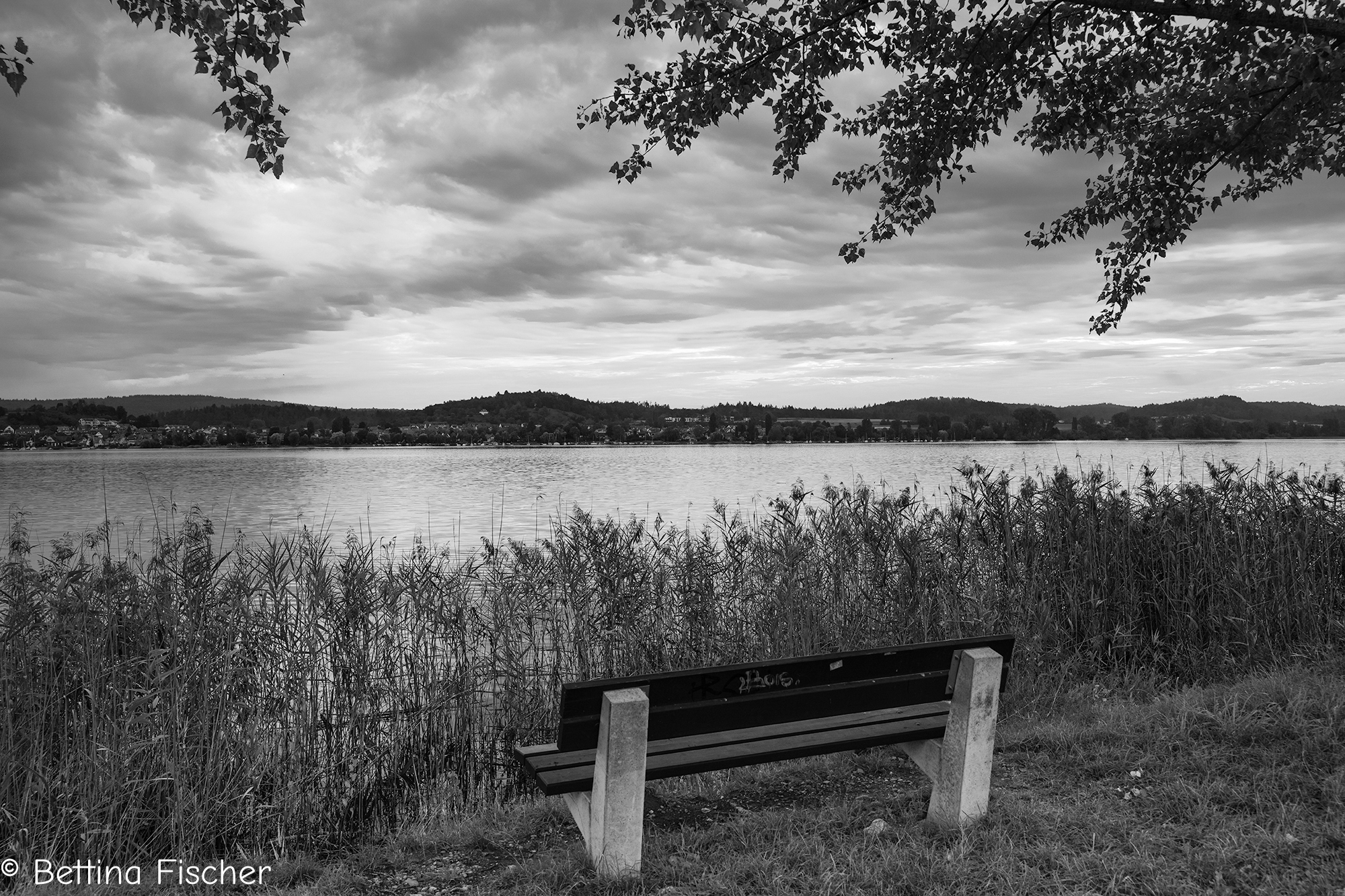 Bank am Ufer Insel Reichenau
